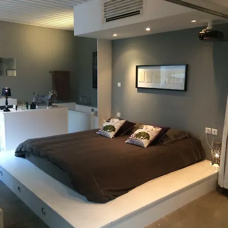 Loft Avec Piscine Centre Ville Holiday home